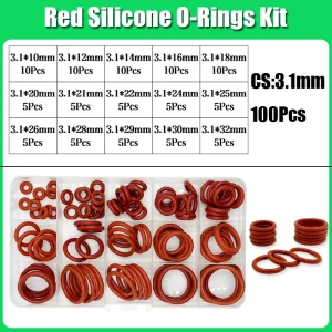 100pcs CS 3.1